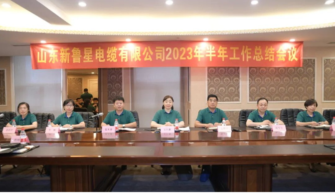 王紅梅最后強調信心的重要性，她鼓勵團隊在逆境中堅定戰勝困難的信心，相信魯星團隊具備了勇于沖鋒的精神和打硬仗、打勝仗的能力，相信魯星團隊定能戰勝二次創業道路上的一切困難。
