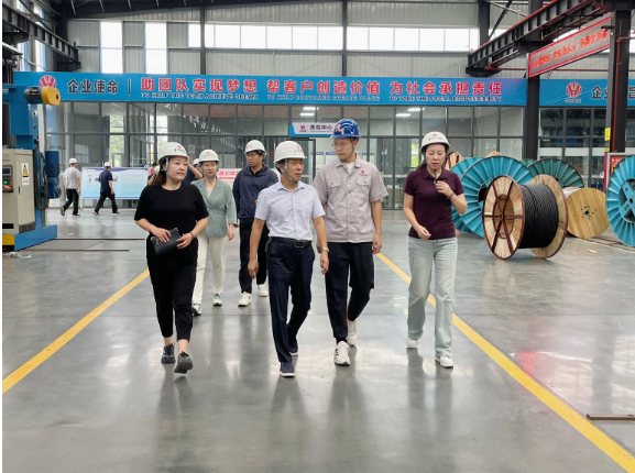 華東電纜表示下半年將集中精力提高產品質量，強化風險防控，積極應對市場訂單，全力以赴，確保完成全年經營發展目標任務，進一步推動經濟實現有效提升和合理增長。