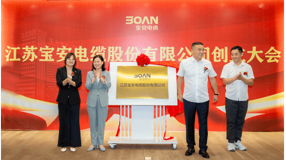 這一次股東大會的成功召開為江蘇寶安電纜股份有限公司的未來發展注入了新的活力，也為其在資本市場上的發展藍圖奠定了堅實基礎。