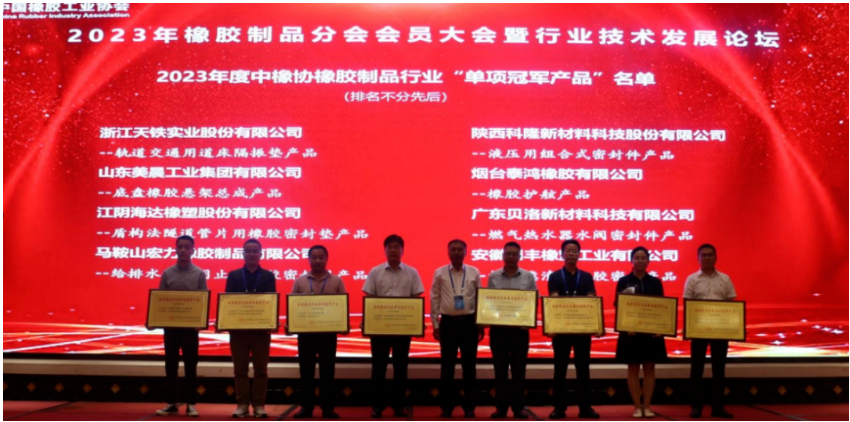 在行業(yè)技術(shù)發(fā)展論壇上，15位嘉賓在橡膠密封、軌道交通、產(chǎn)品檢測、原材料等領(lǐng)域?yàn)榕c會(huì)代表做了精彩的報(bào)告。