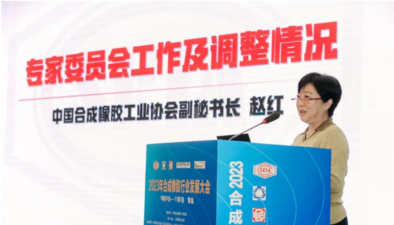 中國合成橡膠工業(yè)協(xié)會秘書長趙紅詳細介紹了專家委員會的工作情況和新一屆專家委員會的組成。會長梁愛民為專家委員會主任委員張立群院士頒發(fā)了聘書，標志著專家委員會的正式成立。