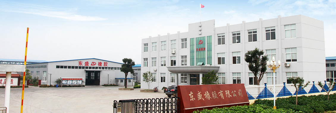 山東東盛橡膠科技榮獲技術創新示范企業殊榮