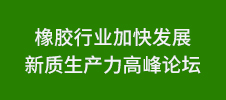 橡膠行業加快發展新質生產力高峰論壇