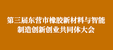 第三屆東營市橡膠新材料與智能制造創新創業共同體大會