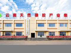 云南省首批！云膠墨江公司橡膠林通過FSC認證