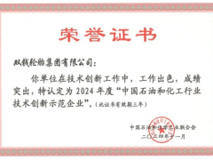 雙錢輪胎榮獲2024技術創新示范企業稱號
