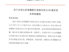 山東省橡膠50強(qiáng)企業(yè)榜單正式揭曉