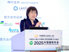 胸藏遠景，昂首拓新，2025中國橡膠年會盛大啟幕!