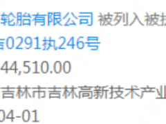 箭達天下（吉林）輪胎有限公司列入被執行人