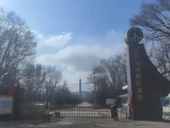 2.82 億起拍！老牌氯丁橡膠巨頭資產打包待售