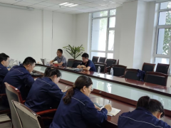 金獅炭黑齊河工廠通過玲瓏輪胎多維審核
