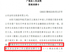 山東多家輪胎企業被限高