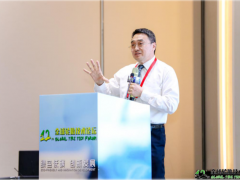 吉林大學突破非充氣輪胎設計理論，引領(lǐng)全球綠色輪胎革命