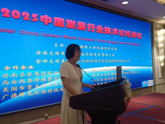 2025炭黑行業技術論壇會議圓滿召開