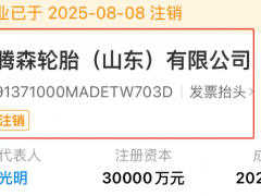 騰森輪胎山東公司，注銷！